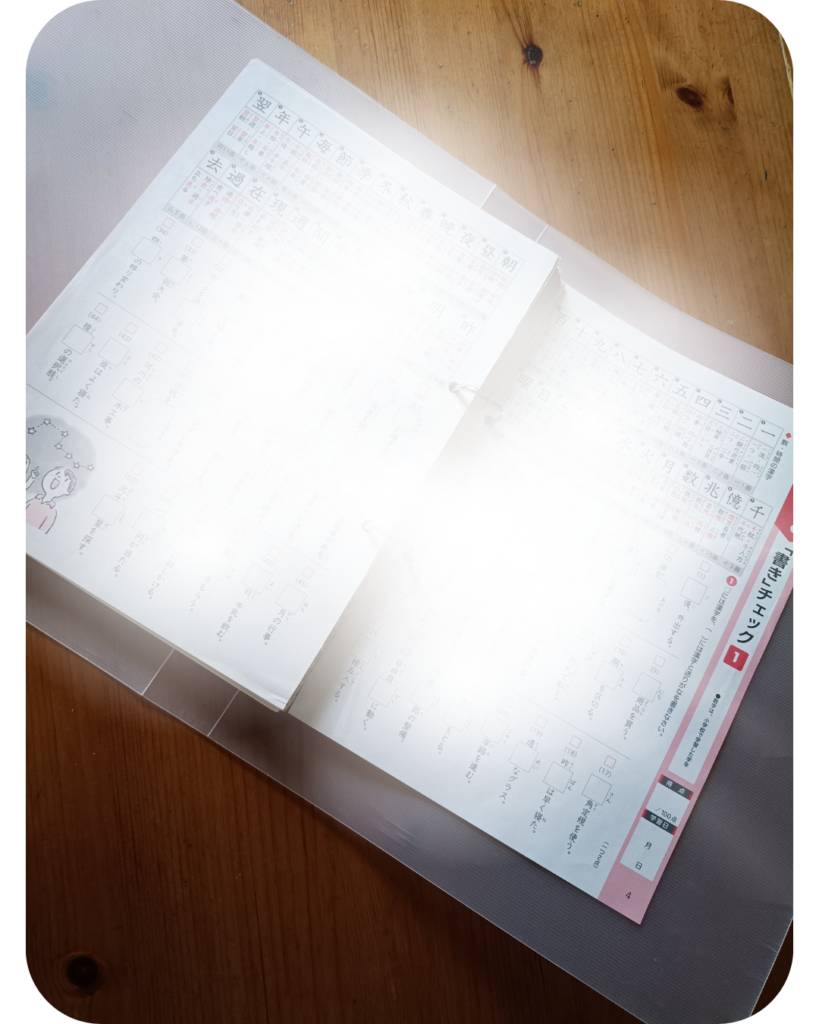 中学国語漢字